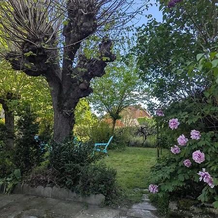 Maison De Bourg Avec Jardin Saint-Martin-la-Riviere
